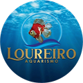 Loureiro Aquarismo